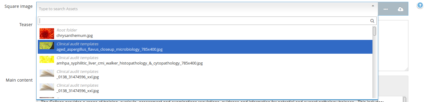Screenshot of an asset picker
