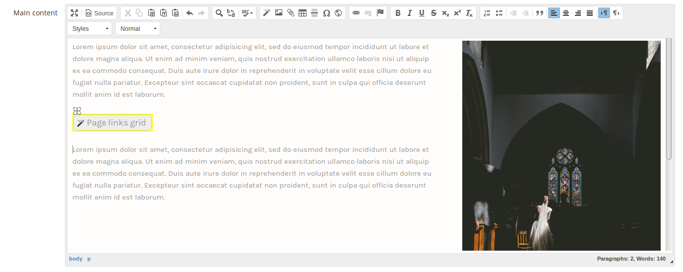 Screenshot of Preside richeditor